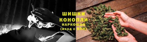 тгк Майский