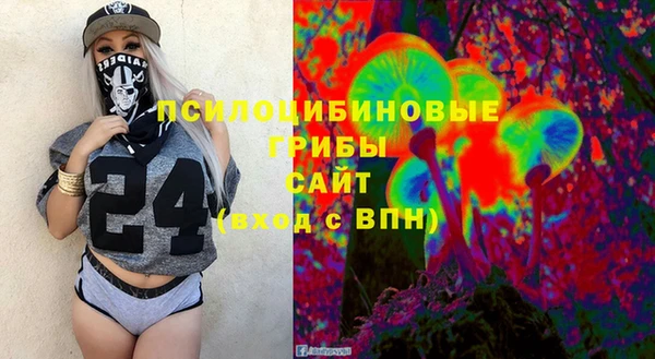 apvp Медногорск