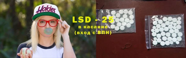 шишки Медвежьегорск