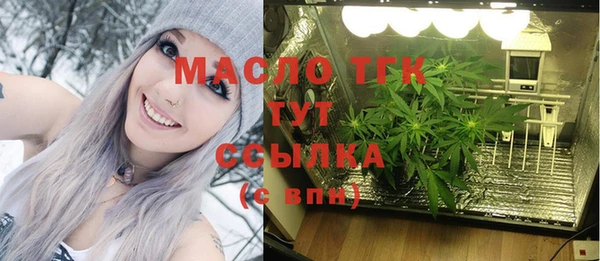 шишки Медвежьегорск