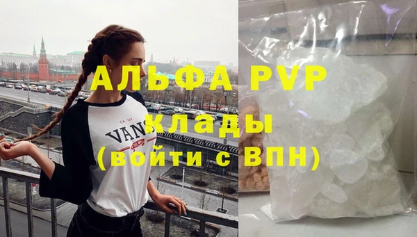 шишки Медвежьегорск