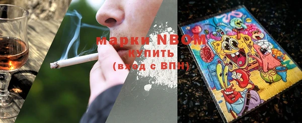 шишки Медвежьегорск