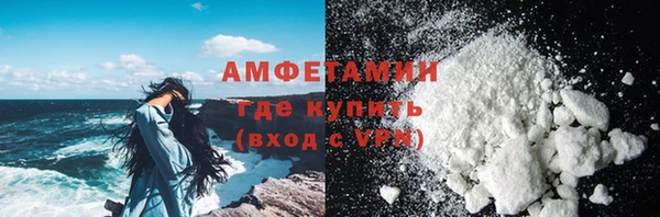шишки Медвежьегорск