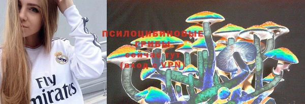 соль ск Мегион