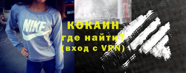 шишки Медвежьегорск