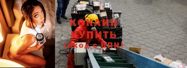 шишки Медвежьегорск